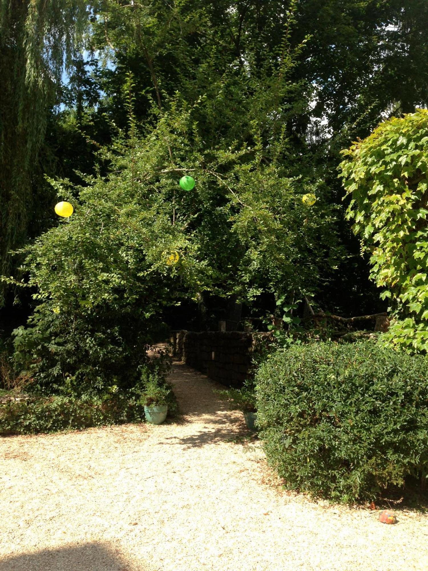 Les Chambres D'Hotes Du Bois Joli Semur-en-Auxois Exterior foto